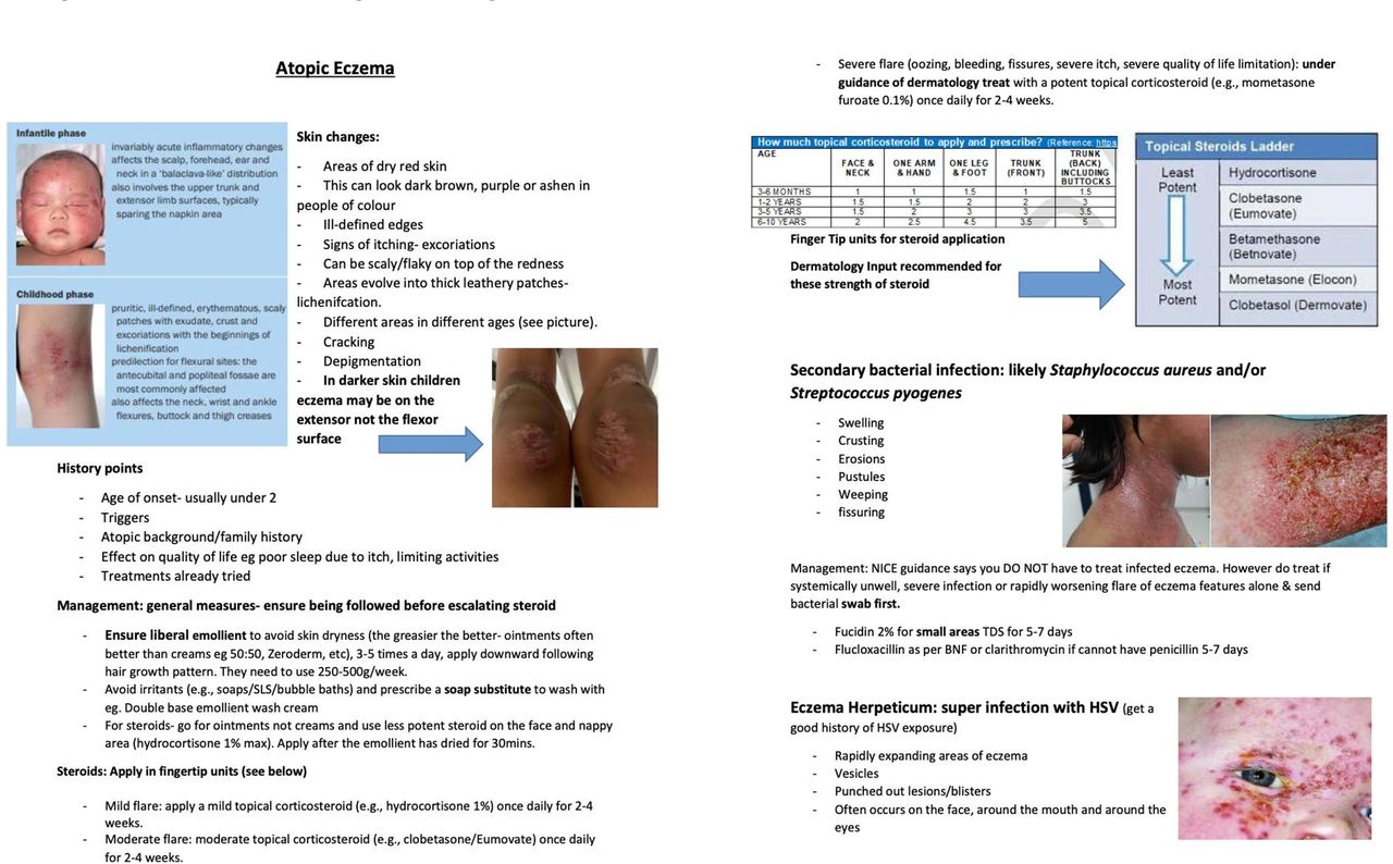 7840 Paediatric dermatology presentations in A& can we improve ...